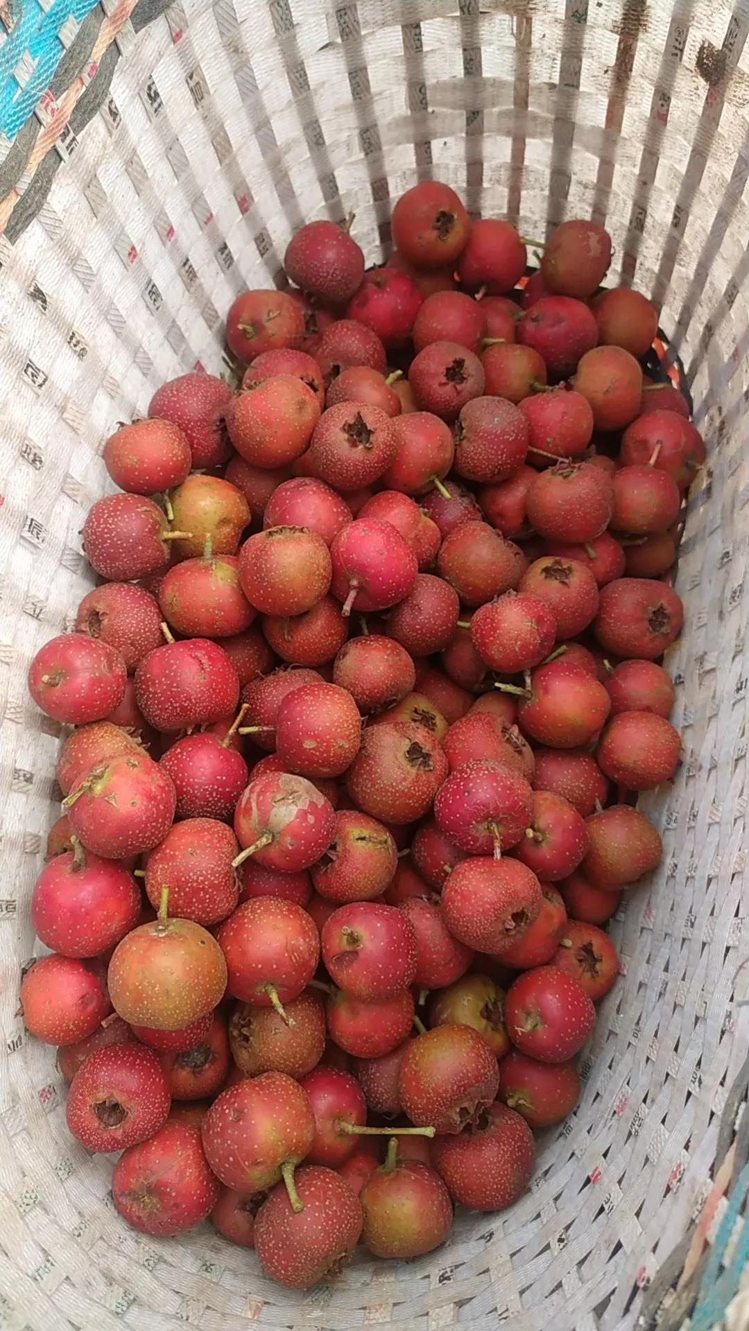 这到底是怎么回事？最近，有不少网友好心提醒我，大叔，你的号被盗了，大叔，有人盗你