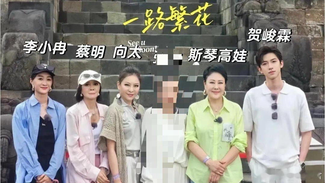李小冉这钱非挣不可吗 