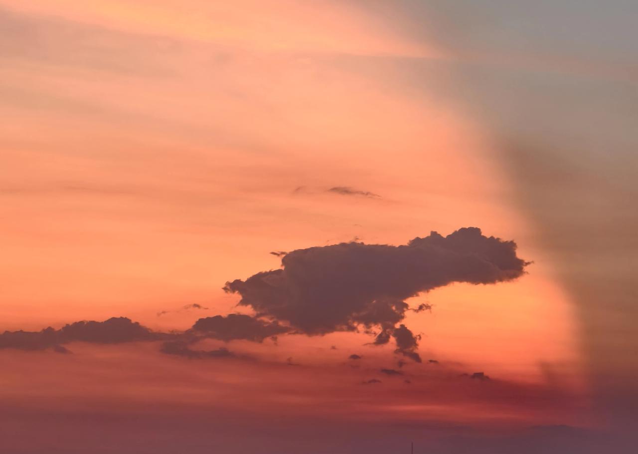 世界将是美好的，
只要你就这么看它，
不做探究地看它，
单纯地、天真地看它。
｜