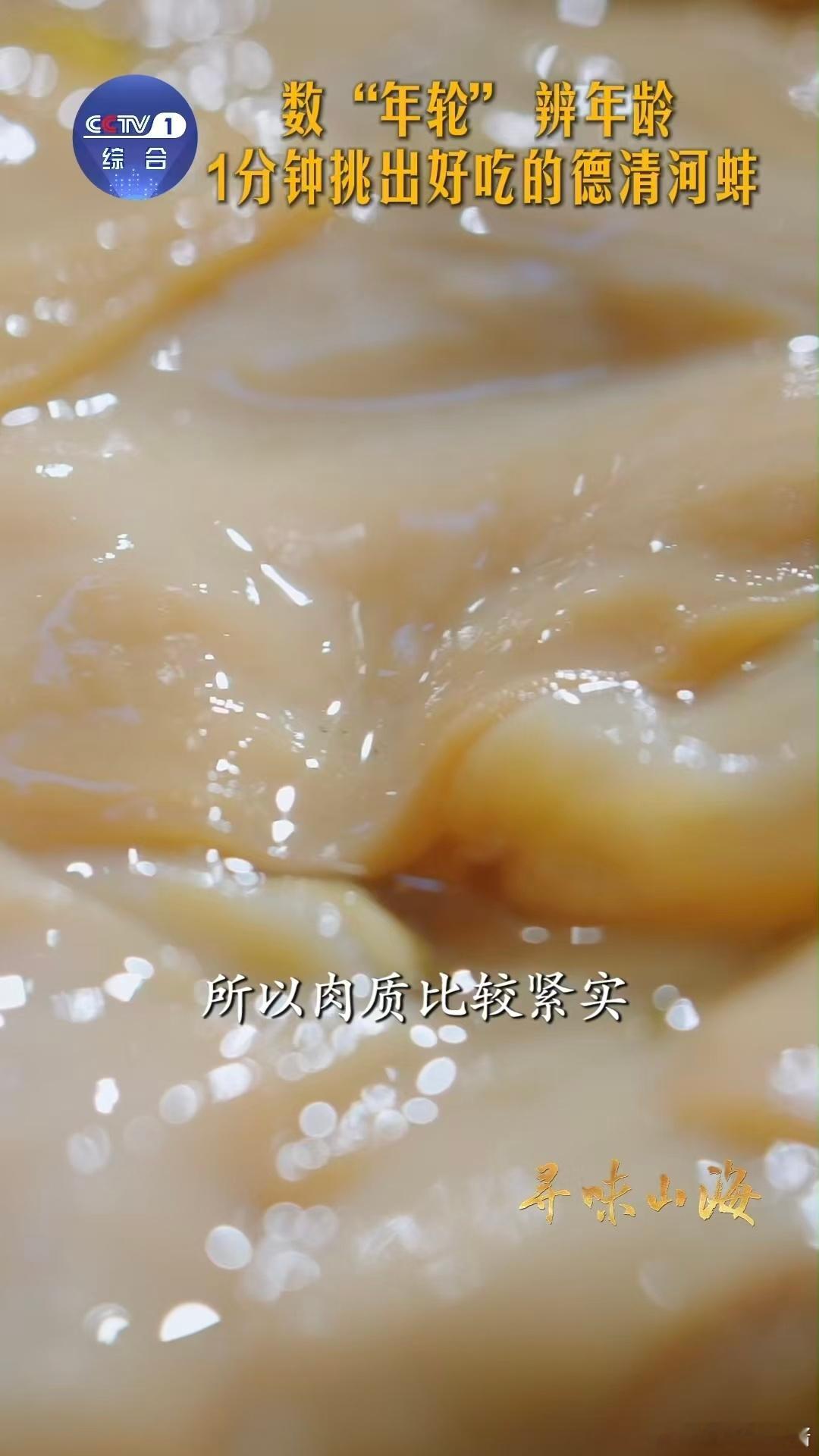 冷知识拿捏！河蚌蚌壳的生长纹就是年轮，一岁一圈超直观，两三岁的蚌肉口感最佳，它用