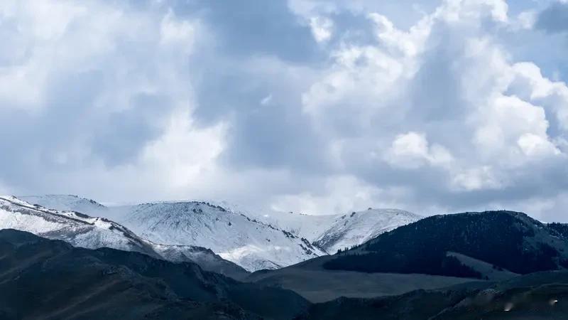 雪莲序·脚下这一步

诗里写的天山雪，
不如你靴尖的这粒沙。
远方是一片薰衣草，
