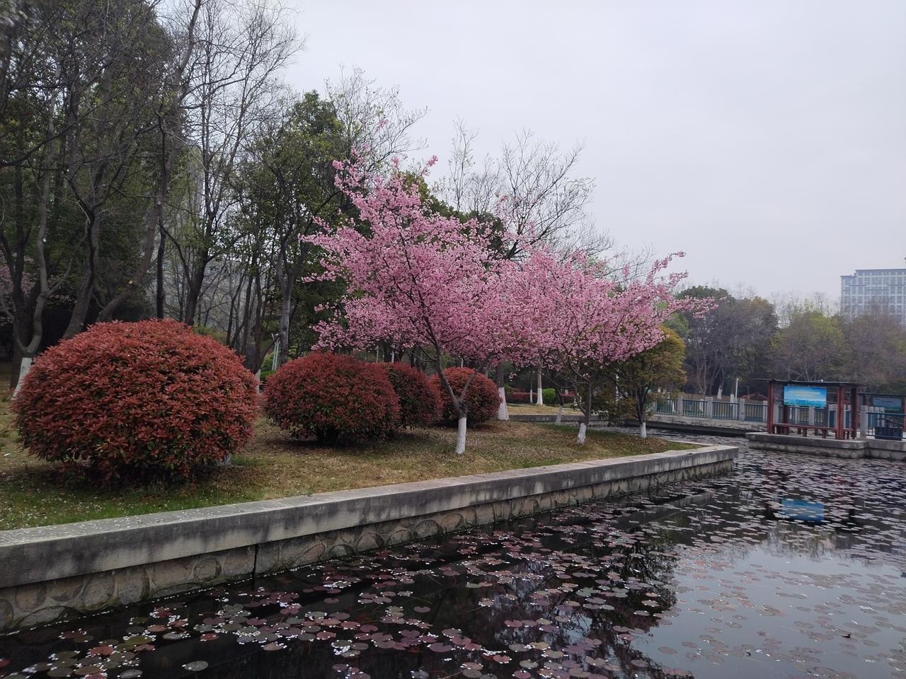 【趣联联趣】
上联：流香，童征叶下南柯梦
下联：？
【一字千金】
《访春·其一》