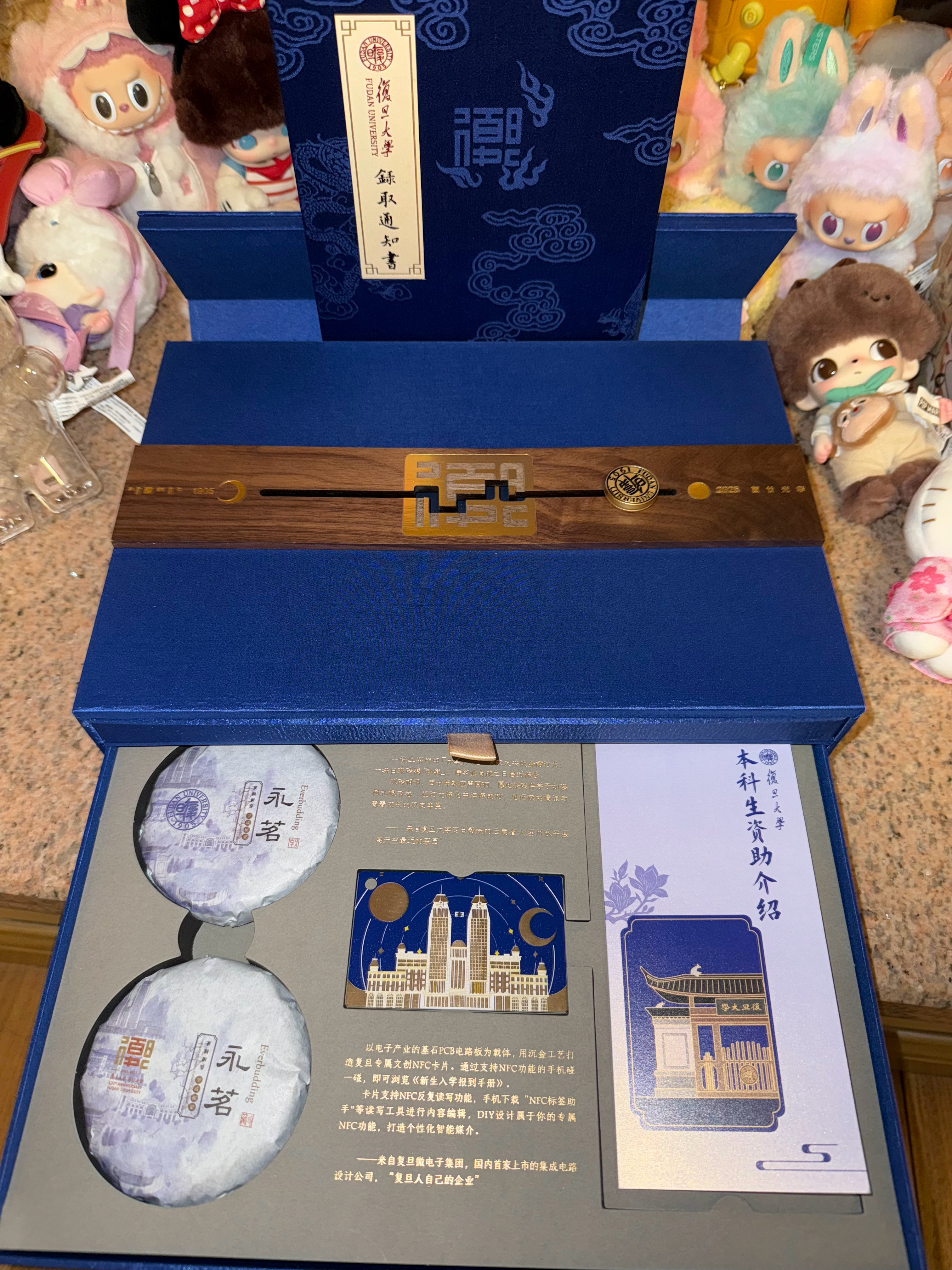 8️⃣🈷️‎一条plog告别八月  ​​​