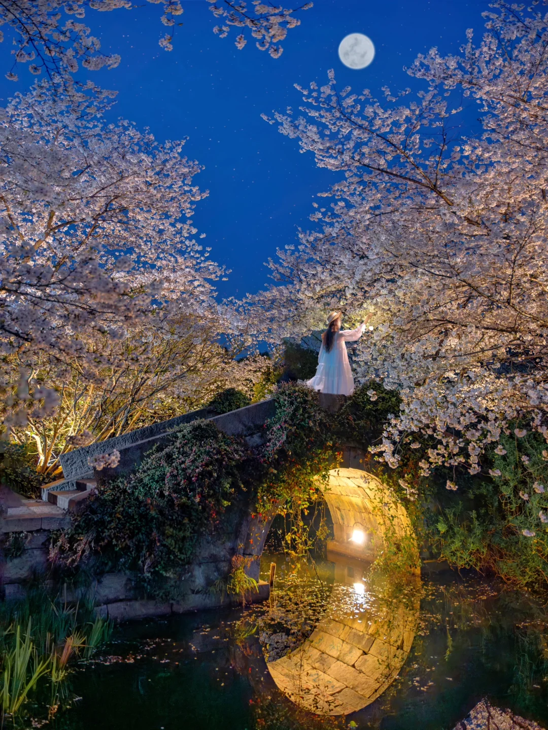 今年樱花已落 而我更喜欢杭州这几个地方🍃