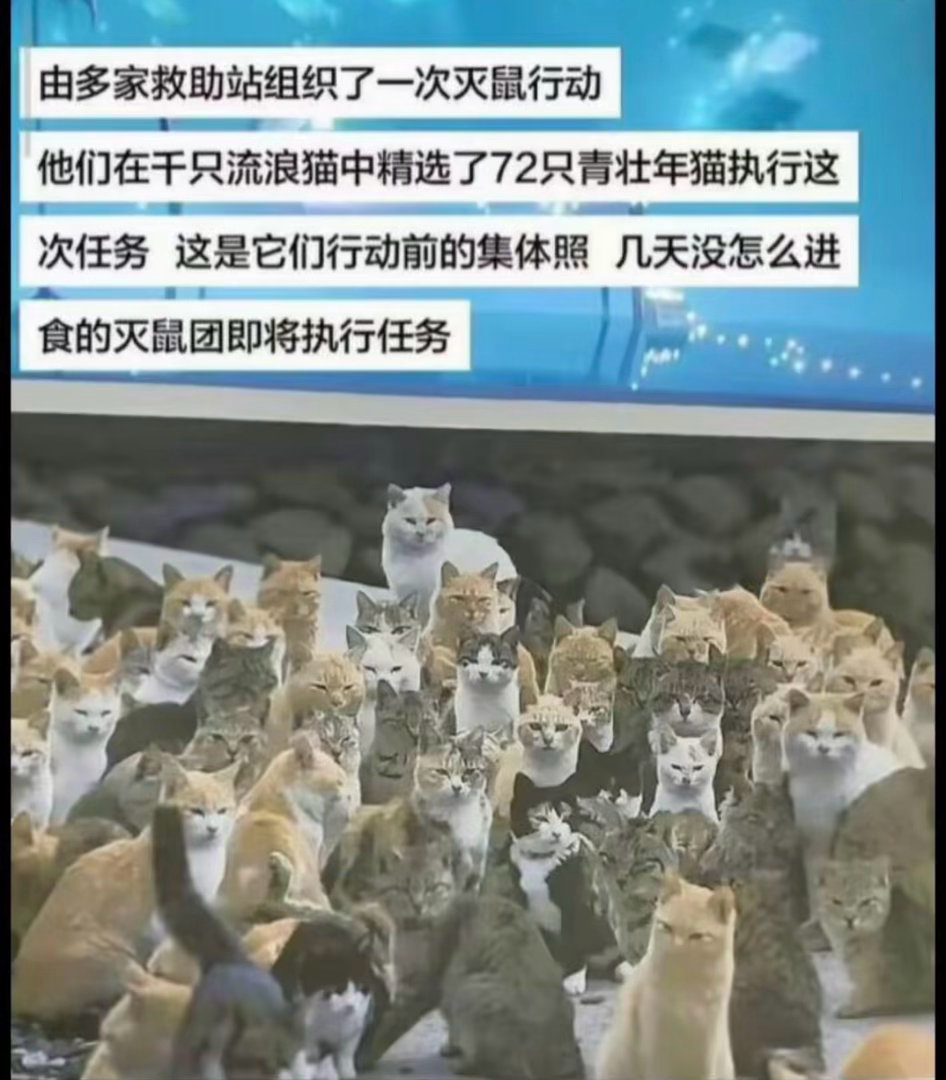 鼠界:天要亡我族辈！ 