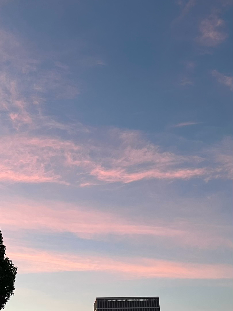 下班遇到绝美晚霞的救赎感，被晚霞惊艳到了夕阳