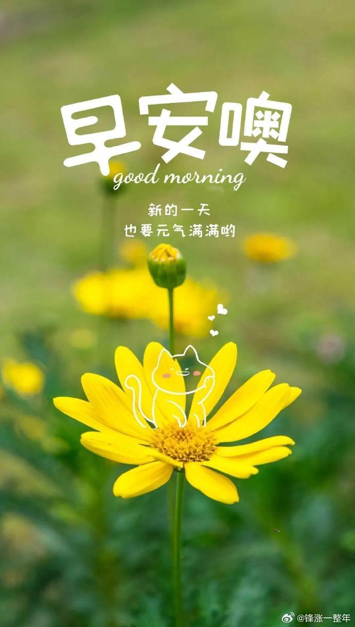早安[心][心]铁子们[鲜花][鲜花] ​​​