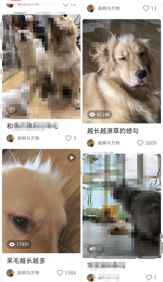 有呆毛的潦草小狗
