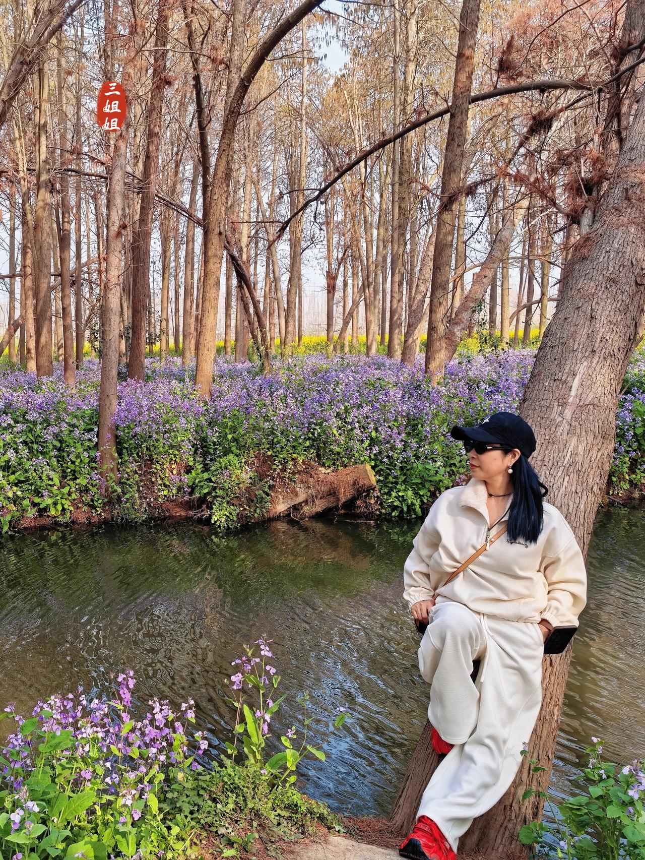 泰州必打卡榜首景点，秘境般的水杉花海，治愈系森林氧吧。
许多人都不知道，泰州藏着