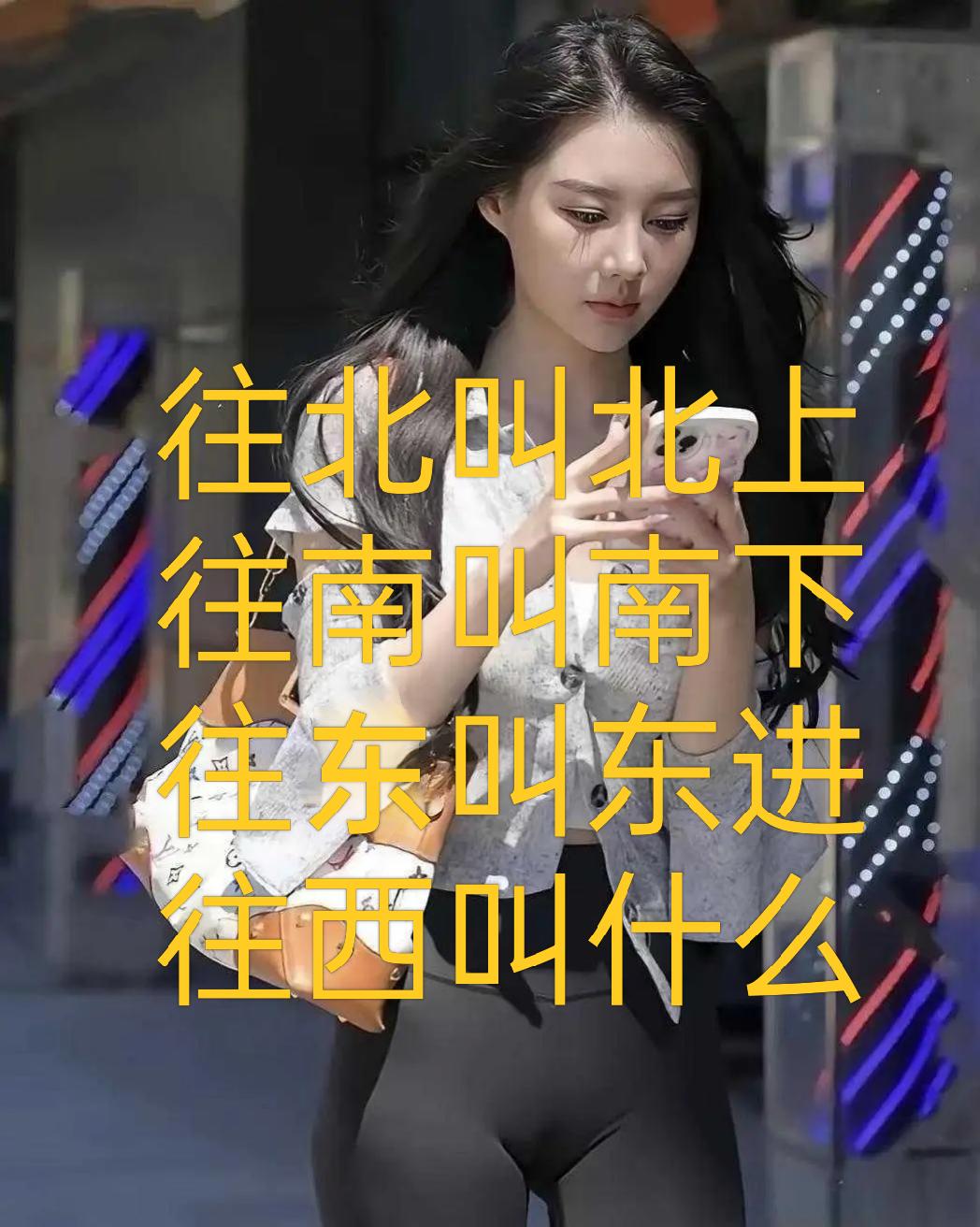 不懂就问:
往北叫北上
往南叫南下
往东叫东进
往西叫什么？