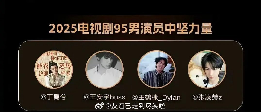 新浪娱乐评选的四大95生：丁禹兮、王安宇、王鹤棣、张凌赫王安宇不应该出现在这个名