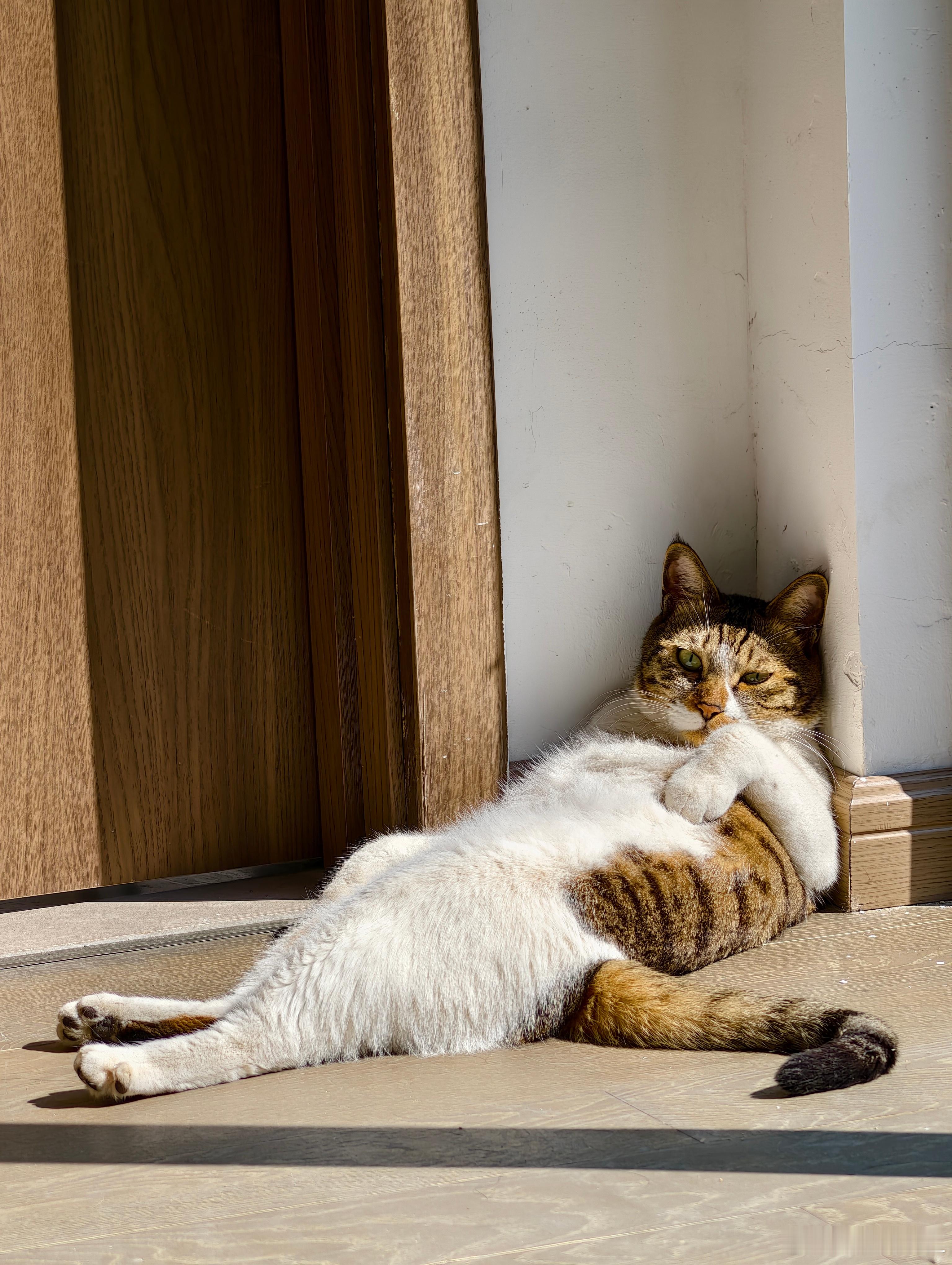 早！这性不性感?