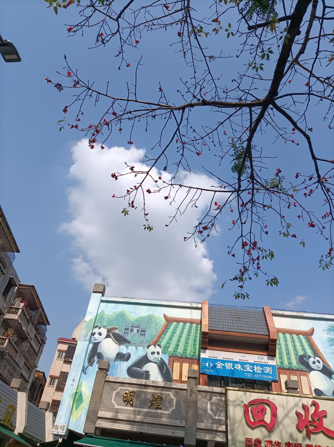 今日随手拍今日拍到的蓝天白云，真是太美了，这白云像一团团棉花飘在天上，又像小动物