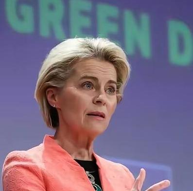 一个欧洲高官向欧盟发出了质疑：“要是我们真帮美国把中国搞垮了，那美国不是想干嘛干