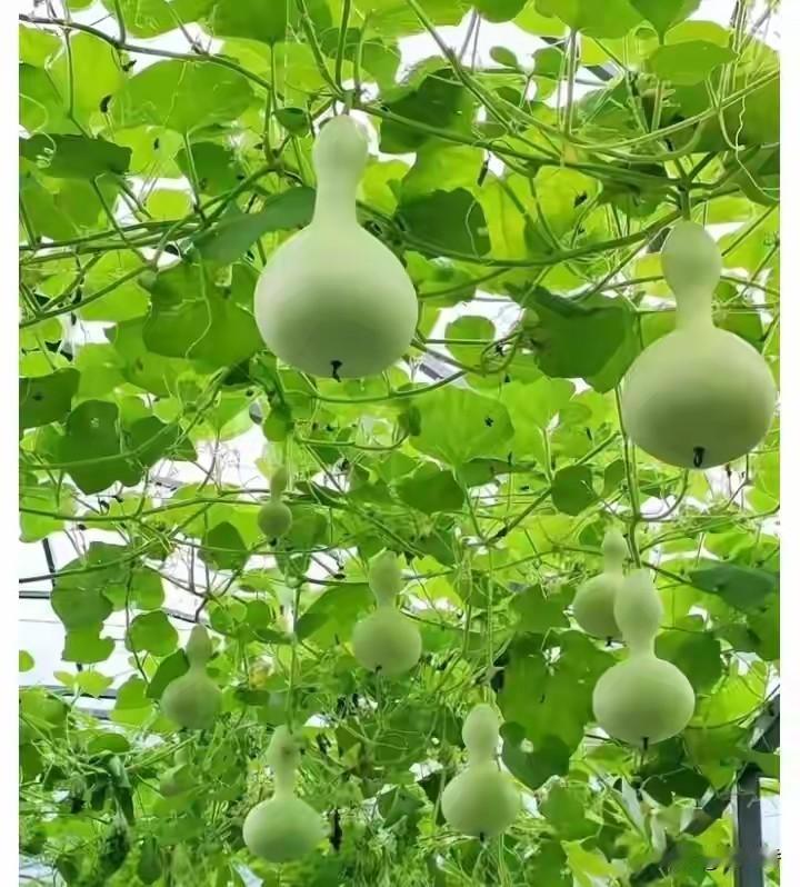 一针见血的一段话：“一定要，少吃、多睡、勤存钱。别总觉得没找对人，其实这个世界上