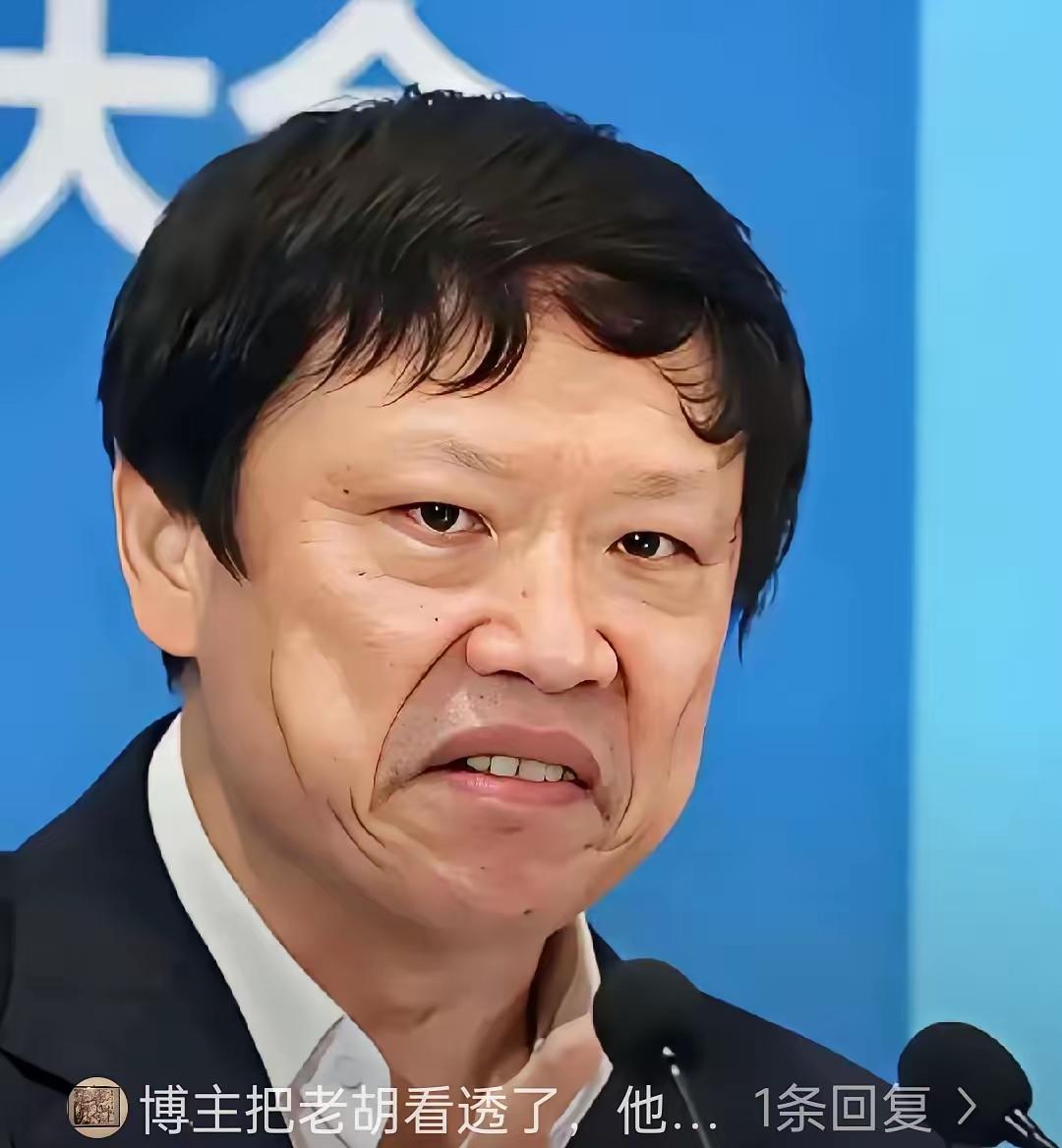 胡锡进是干嘛的？他是咀嚼派，
把别人的东西粉碎包装一下，出售成个人的产品。