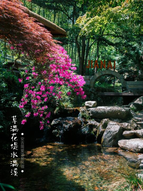 五一·安吉山野松弛指南