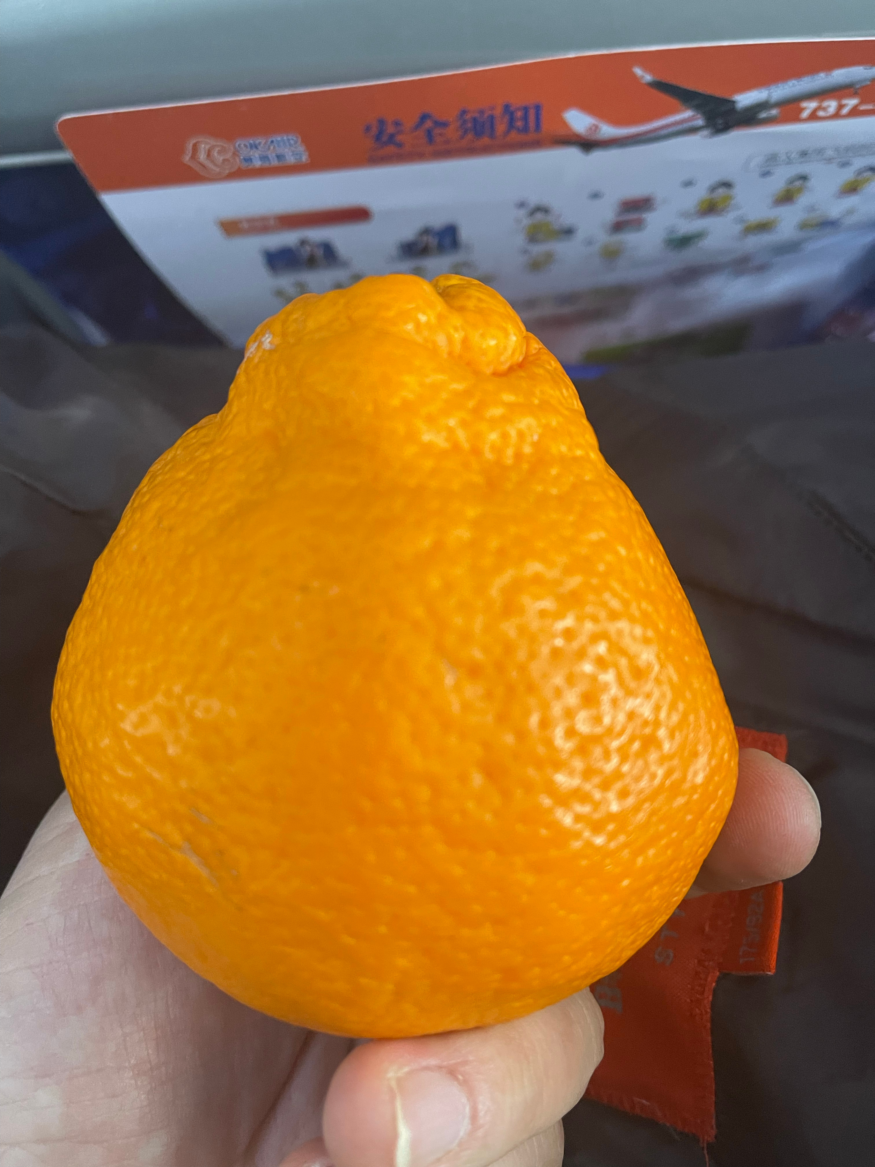 经停鄂州，被一位咱天津的球迷大姐投喂了