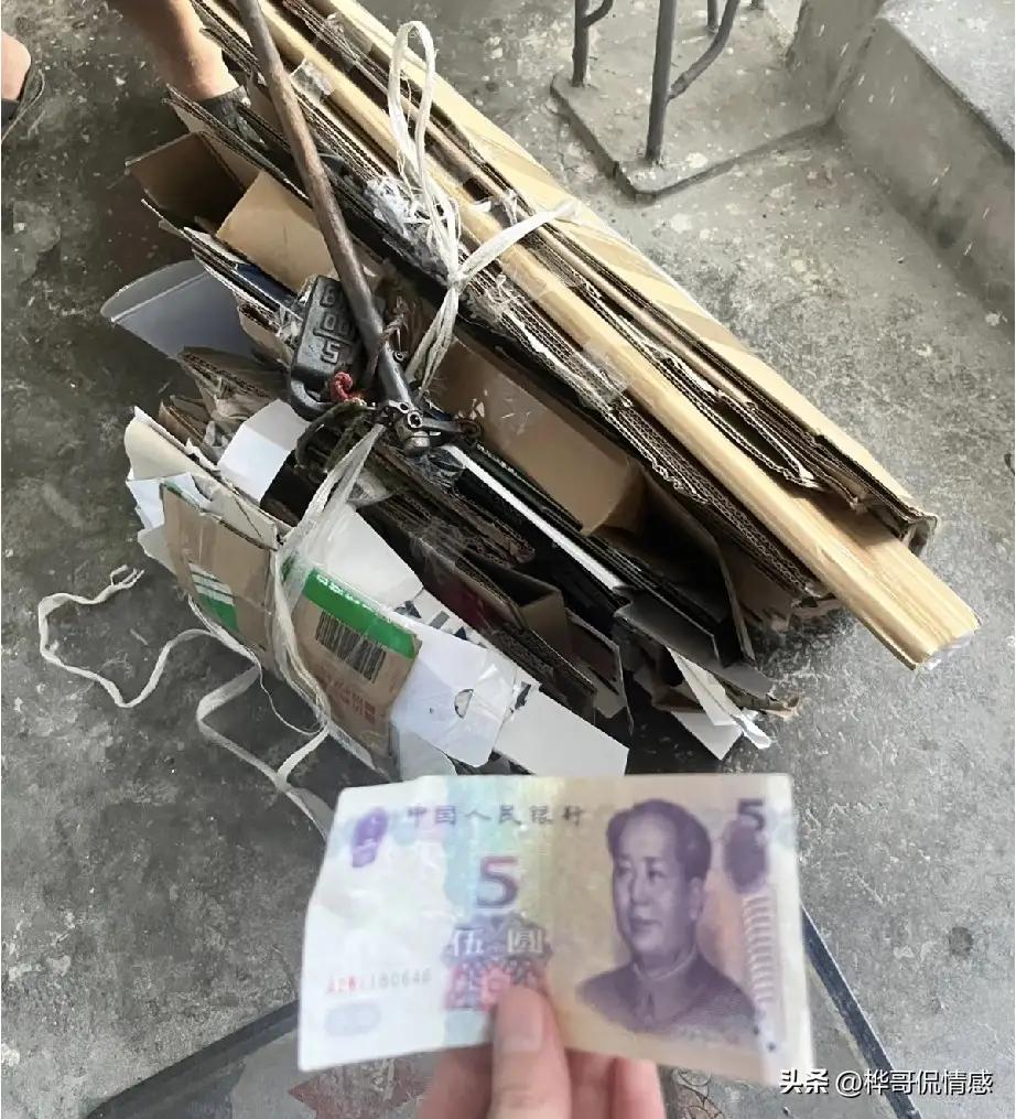 纸箱换钱不丢人：勤俭是美德，环保是修行

今儿咱们单说一桩发生在街头巷尾的“纸箱