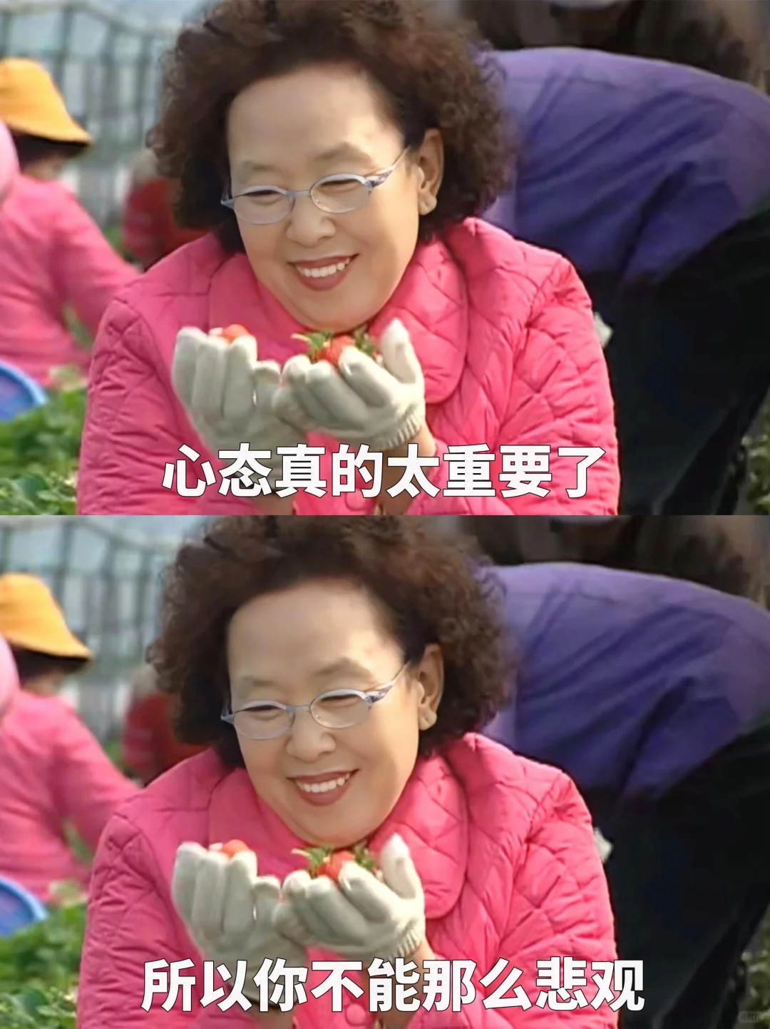 罗文姬的心灵鸡汤 看完真的释怀了‼️