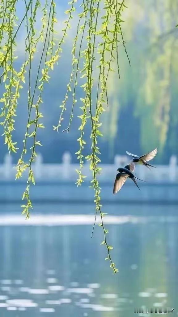 2026年双火年，这四种星座女最容易变富婆！

结合丙午马年运势，梳理出四大“富