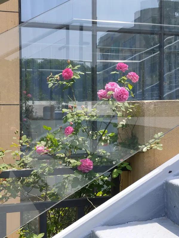 这个社会看似繁华，实则缺了不少东西。在物质丰盈、数据泛滥的当下，我们缺对“绝对价