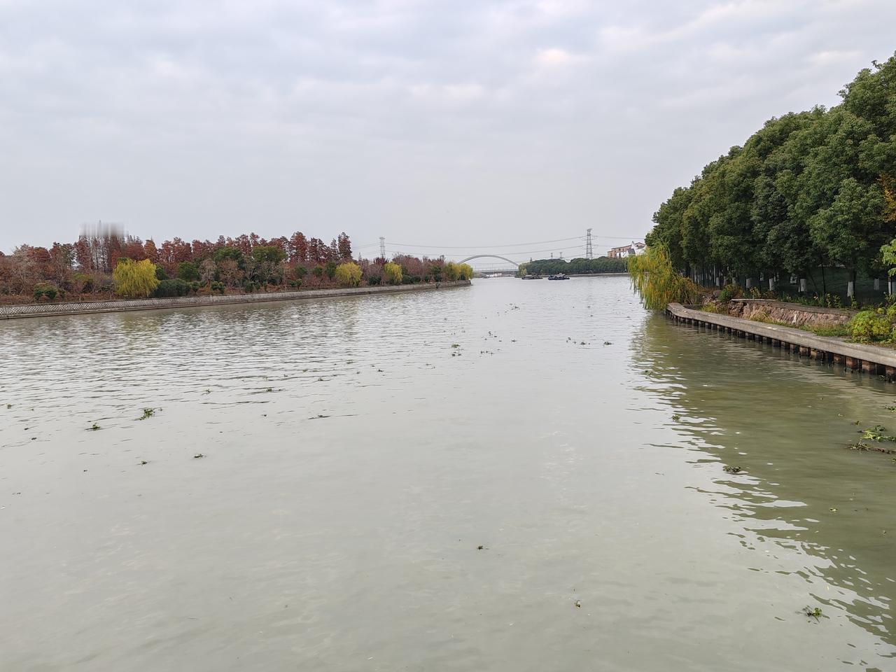 今年最舍不得删的照片