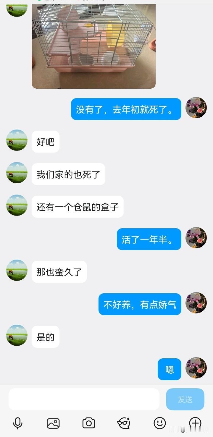 我和语文老师的对话，她竟然还想着我家有仓鼠。

女儿语文不好，老师曾经把她安排为