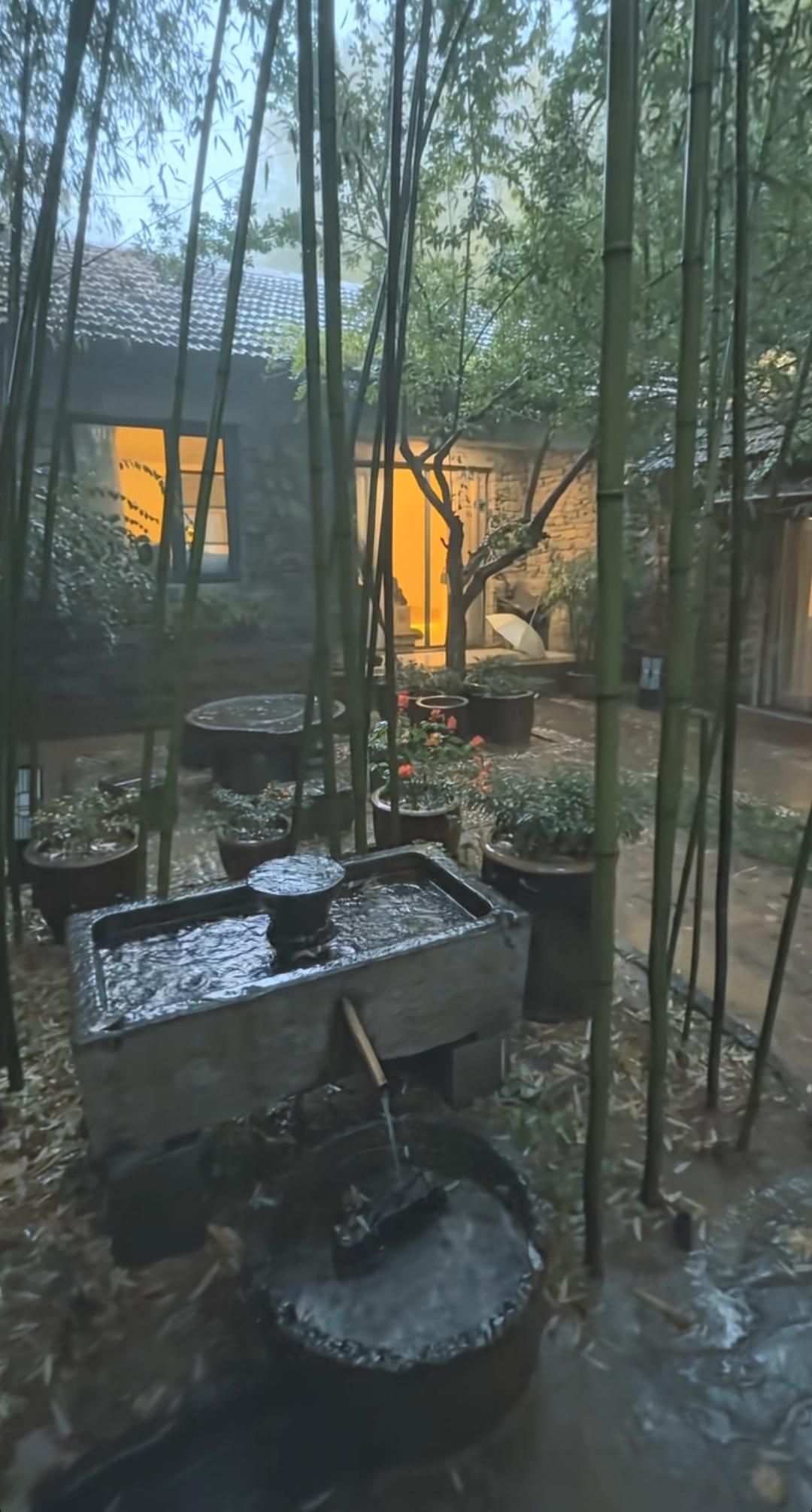 下雨天，院子里的水井旁种着竹子。太喜欢这样的院子了，院子里种竹子🎍这是哪里啊？