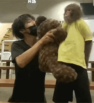 1：猴子也是有脾气的，可不是谁都能使唤它。
2：现在该怎么办啊？该怎么解释啊？