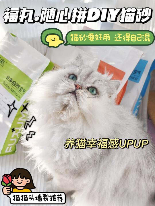 猫砂 当然得自己混才好用啊