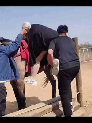 马儿没跑已经是给足了面子了