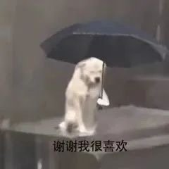 朱一龙祝愿高考生圆梦今夏祝高考学子金榜题名，旗开得胜😎 高考倒计时2天 ​​​