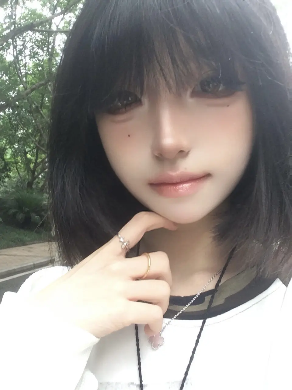 直到你的眼底  再为我下一次长青雨。