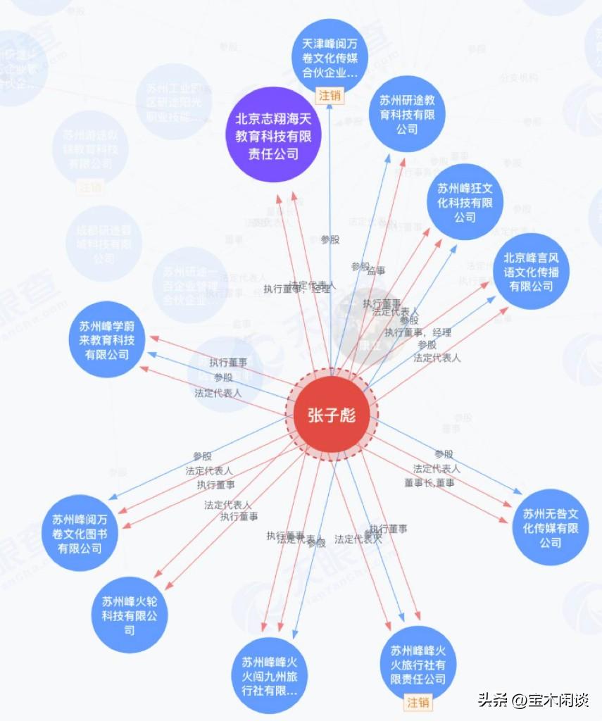 管理这么庞大的财富帝国，难怪张导师吃不消了。数了一下，共11家公司，其中9家公司