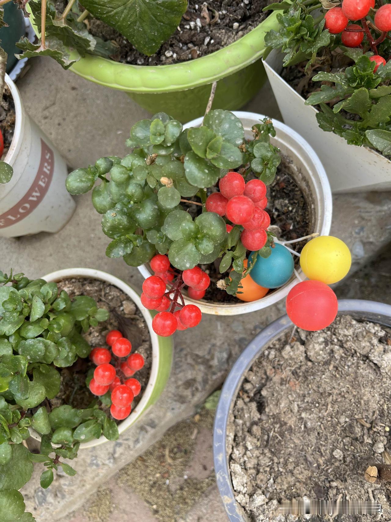 管太多会消耗自己的福气和运气吗？


我不太爱管闲事，我们家大郎有管闲事的家传。