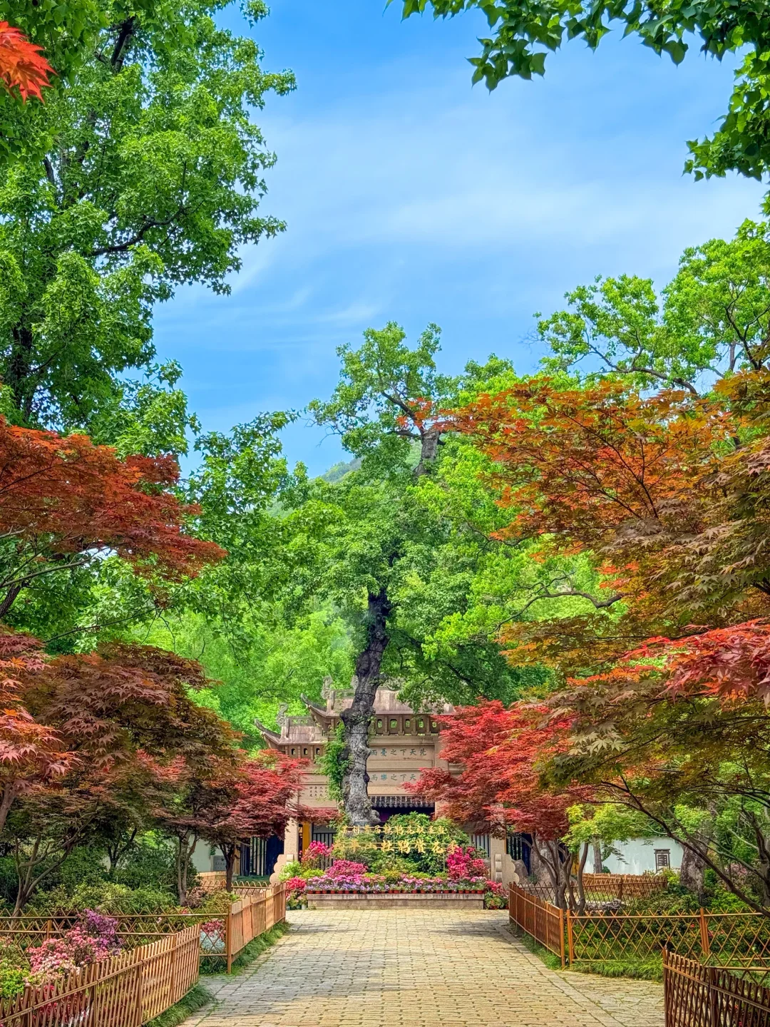 野心好友 | 淡季的天平山真的连个人都没有