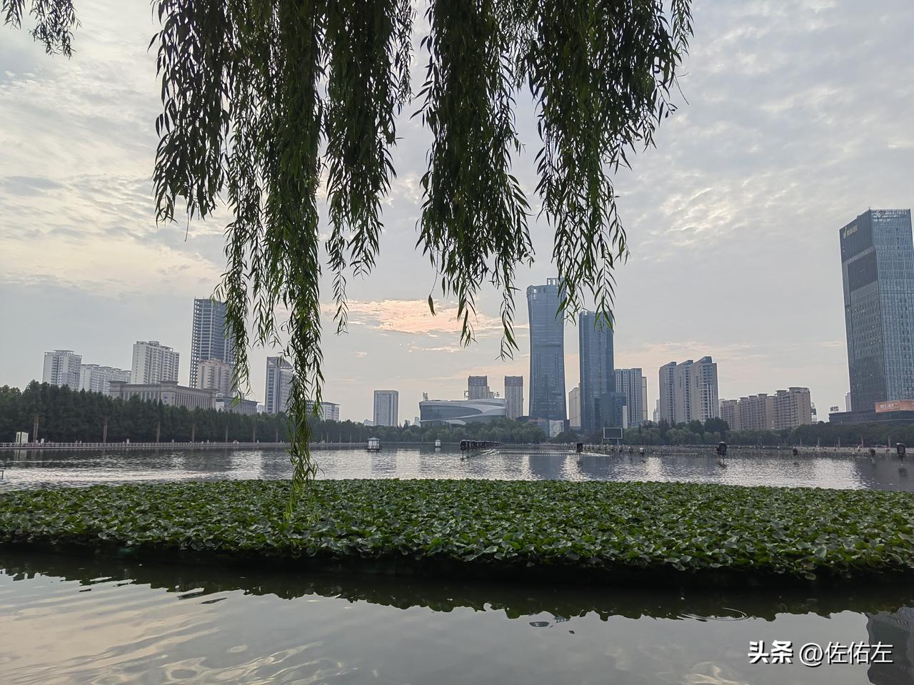 人跟人比差别真的不大，但事与事一比就天壤之别了。
去我姐家里闲坐了一会儿，姐俩扯