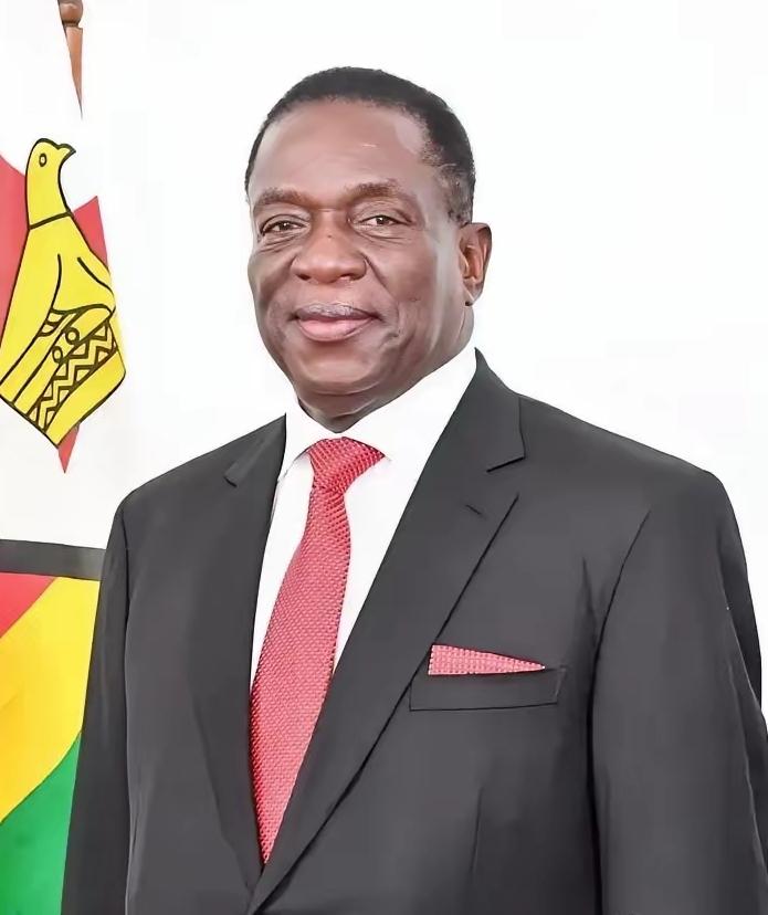 前脚巴拿马不顾中方反对，强行接管了巴拿马港口，后脚津巴布韦突然宣布暂停锂矿出口。