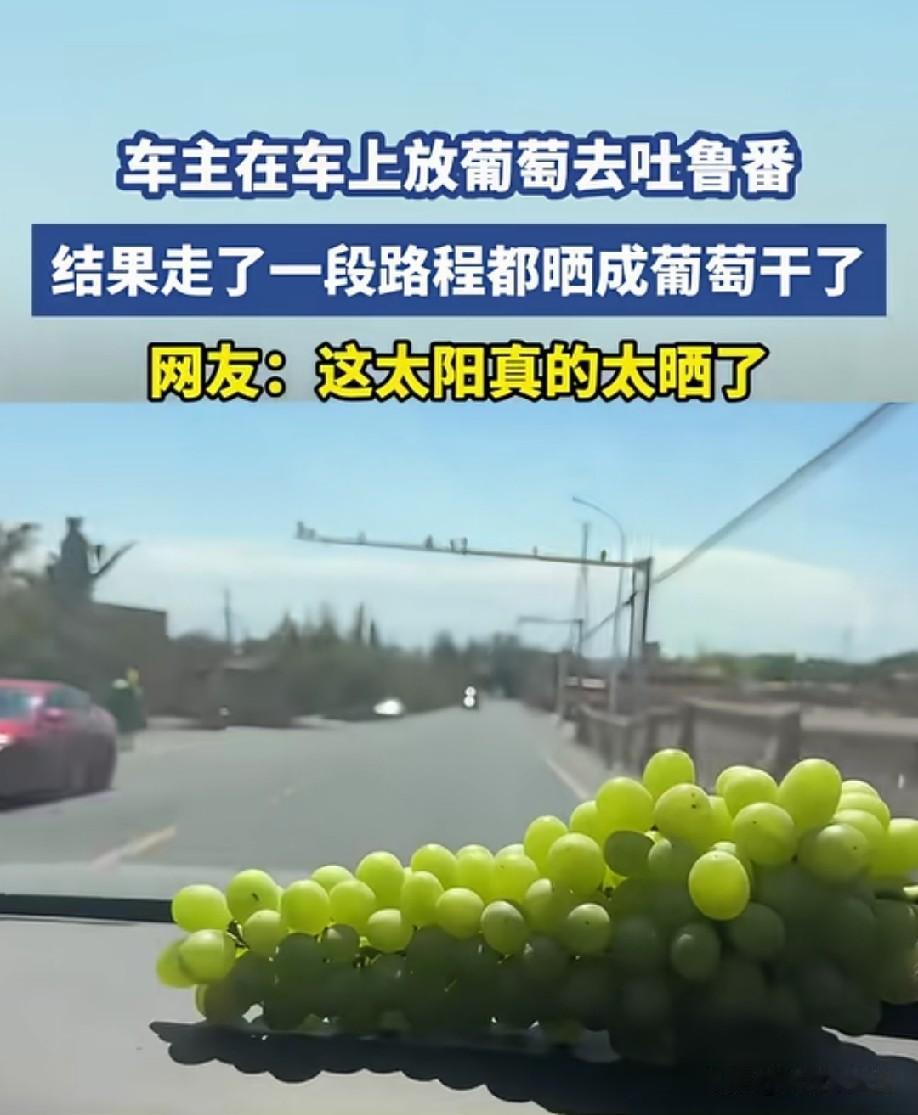 不可能吧！新疆葡萄干是阴凉通风，风干的，靠太阳暴晒能变成这样？
