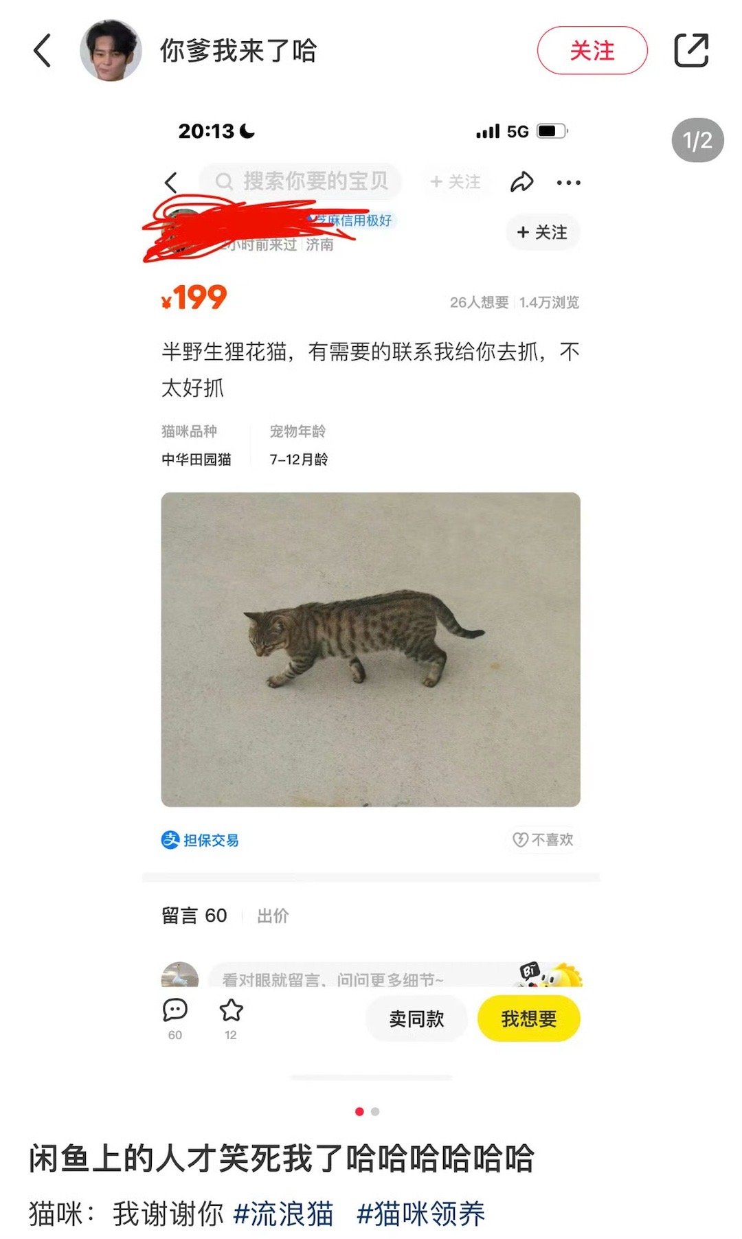 被闲鱼上的人才笑死了 ​​​