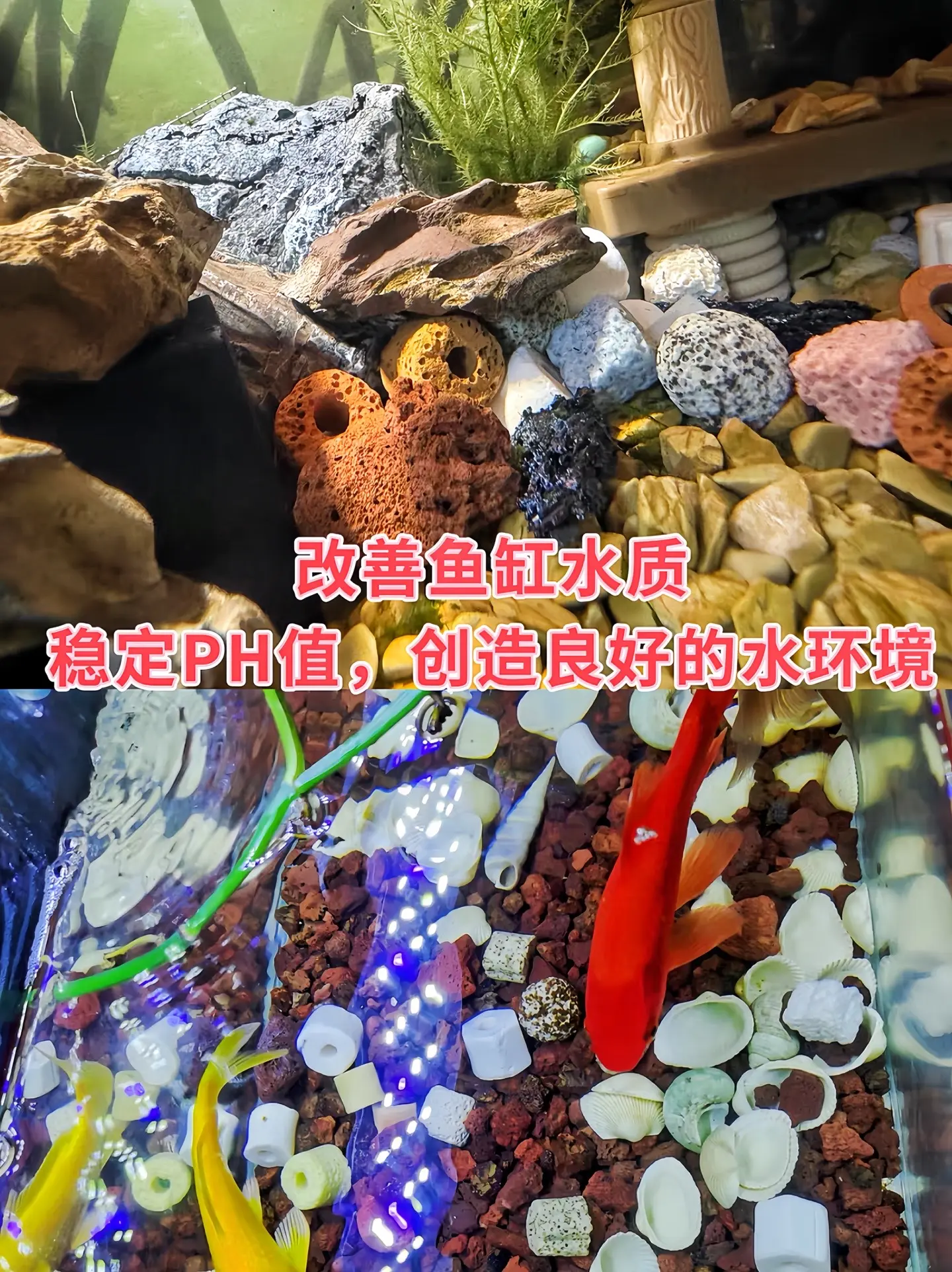 哥哥们，性价比超高的混合滤材，能过滤、能净水，还能培菌的混合滤材！有了...