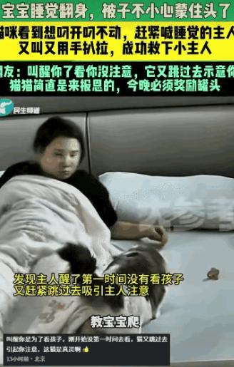 “万物皆有灵！”山东，一婴儿翻身时不慎被捂，熟睡的妈妈却浑然不觉，生死瞬间，家猫