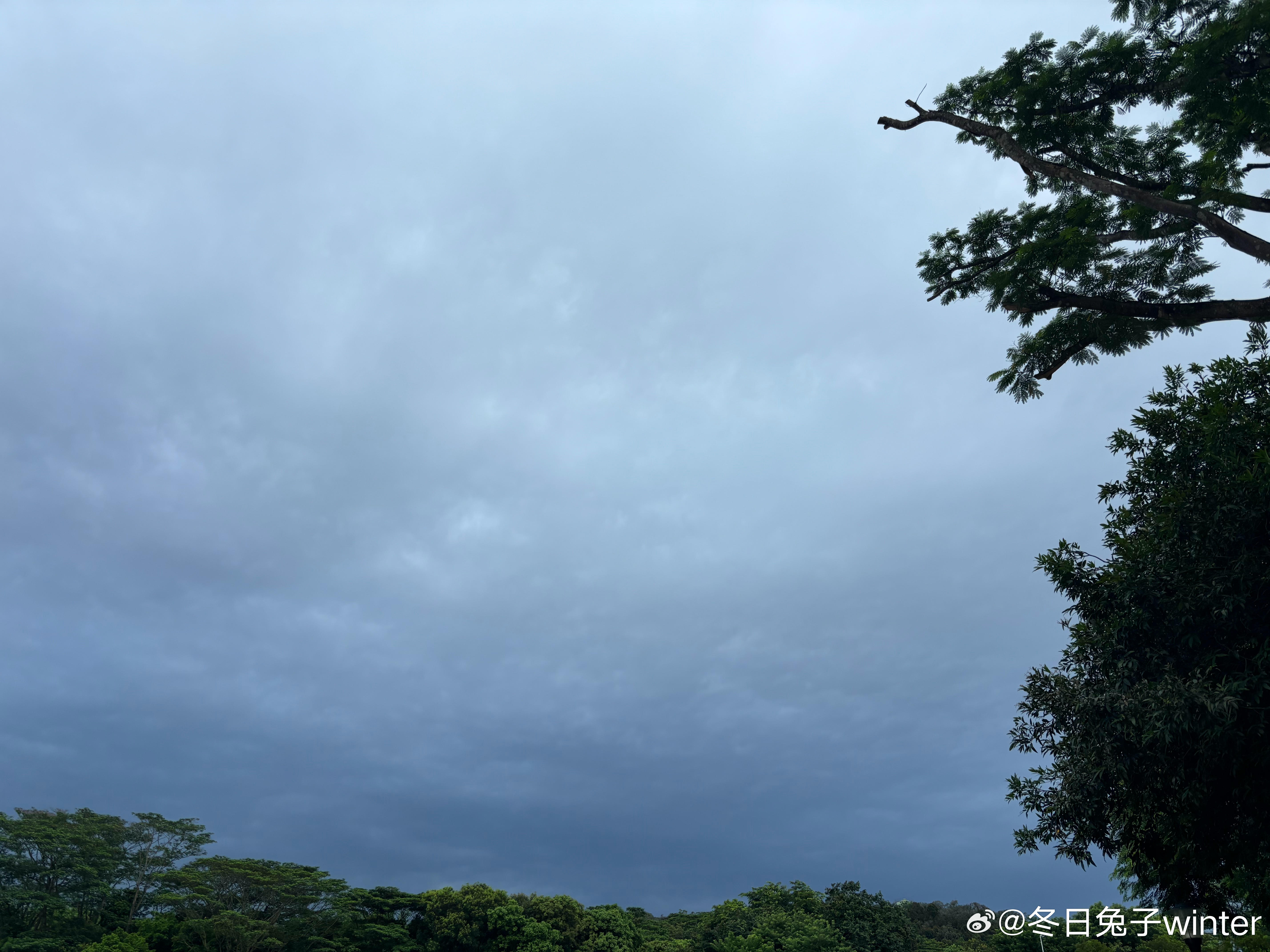 微雨的早晨，散个步～觉得一切美好。     过了一小会我看天空那片云载着雨已经到