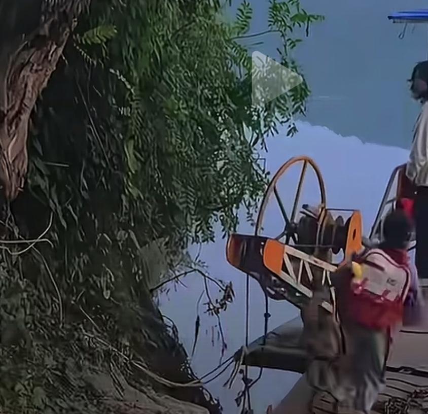 说是小狗每天护送主人去上学。去的时候，坐船去，因为小主人掏了钱。可是回来的时候，