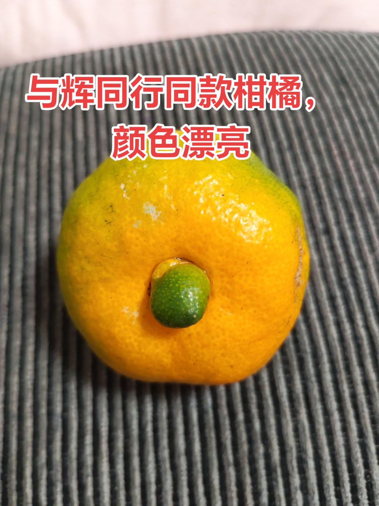 好看的橘子，就像这个，与辉同行媲美新鲜采摘