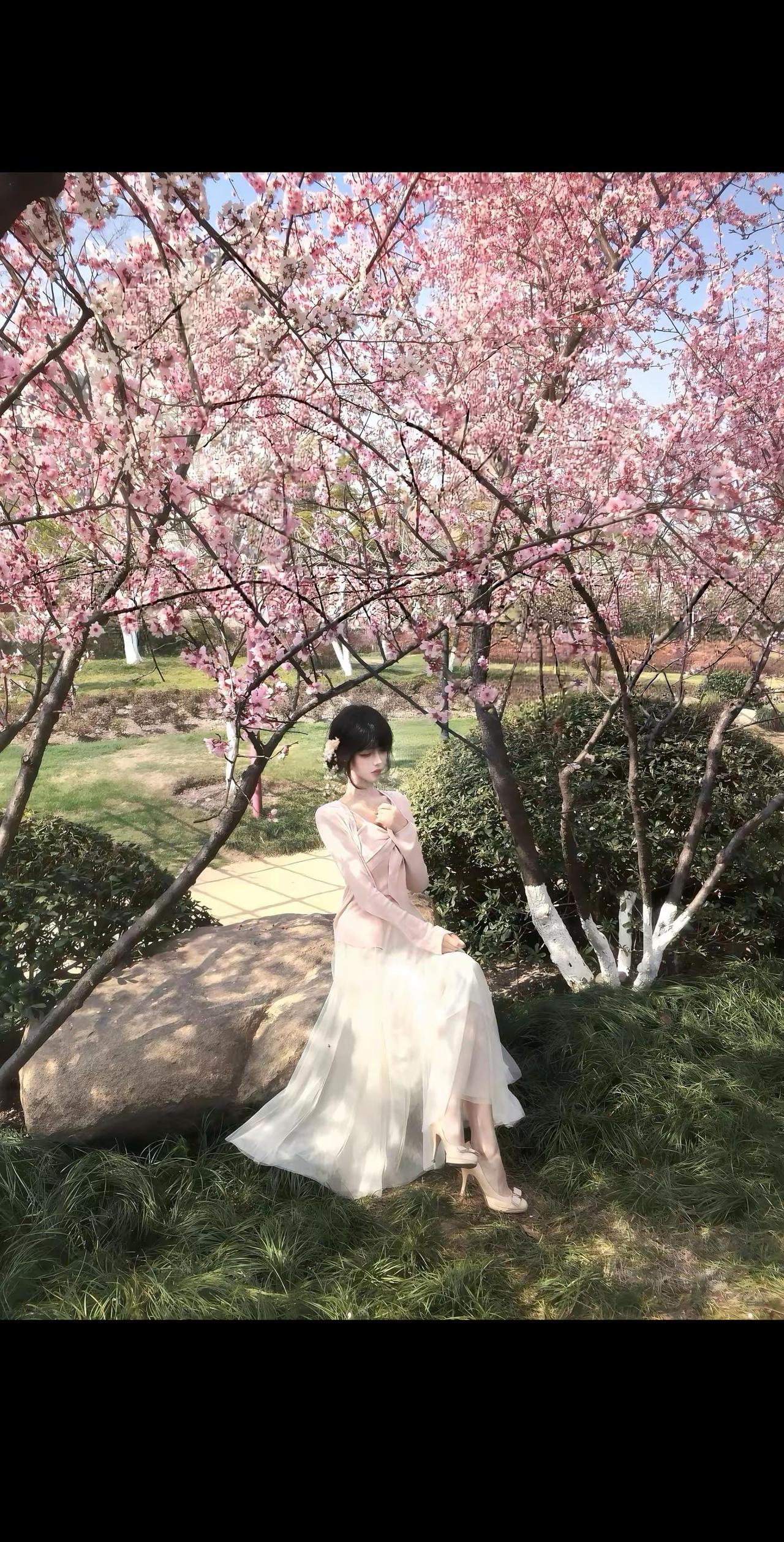 樱花树下站谁都美….早春穿搭温柔风穿搭 樱花