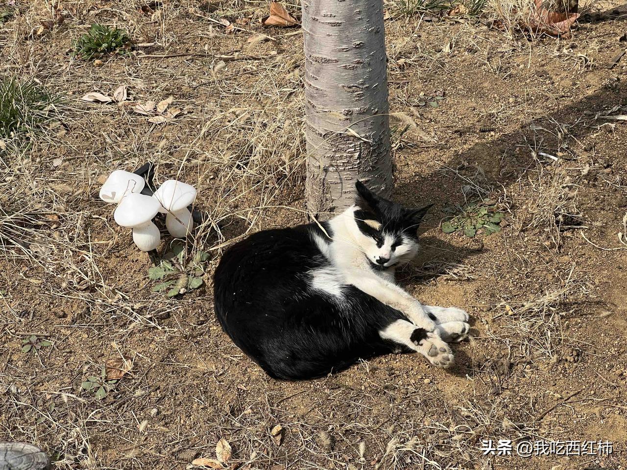 给乞讨老头转30块以后他哭了
那天傍晚去约会，刚出地铁遇到一个背着双肩包的老头，