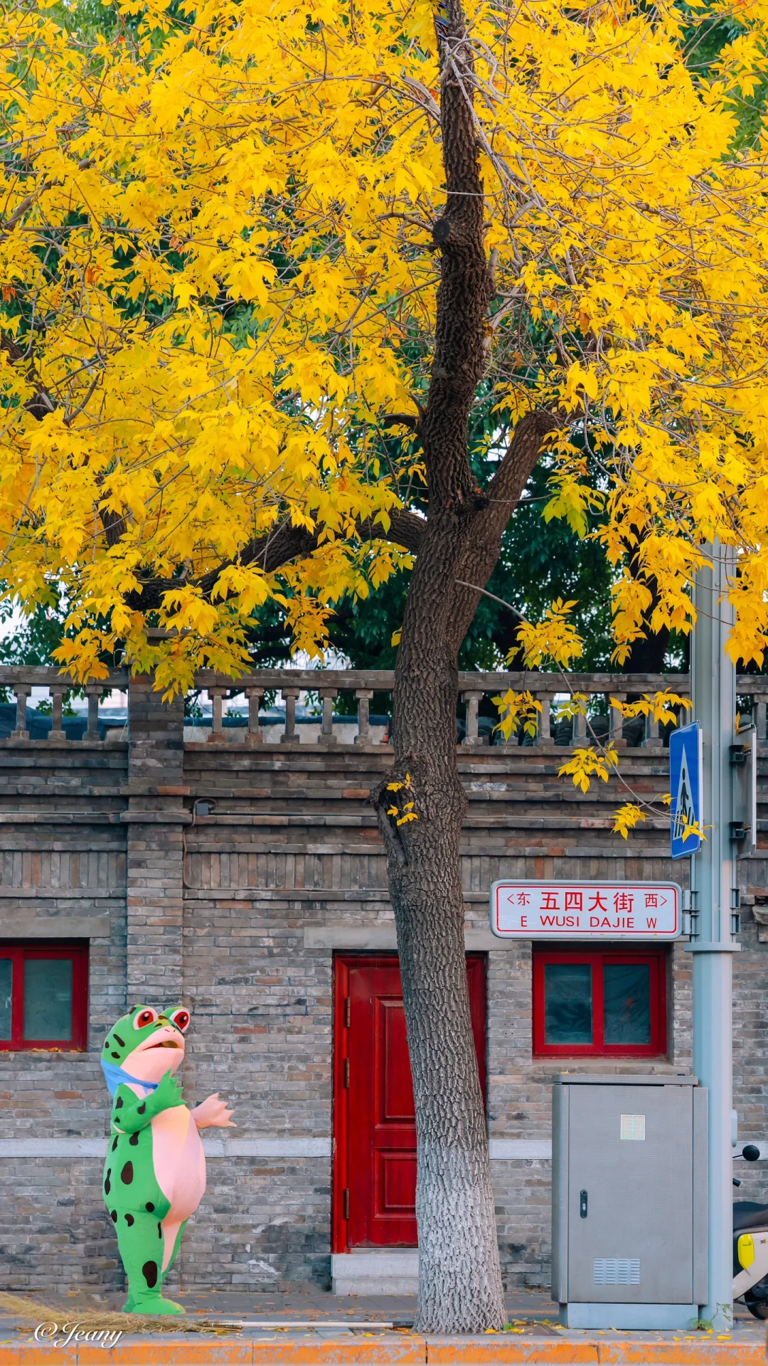 北京的秋天来了📷五四大街的秋色🍂