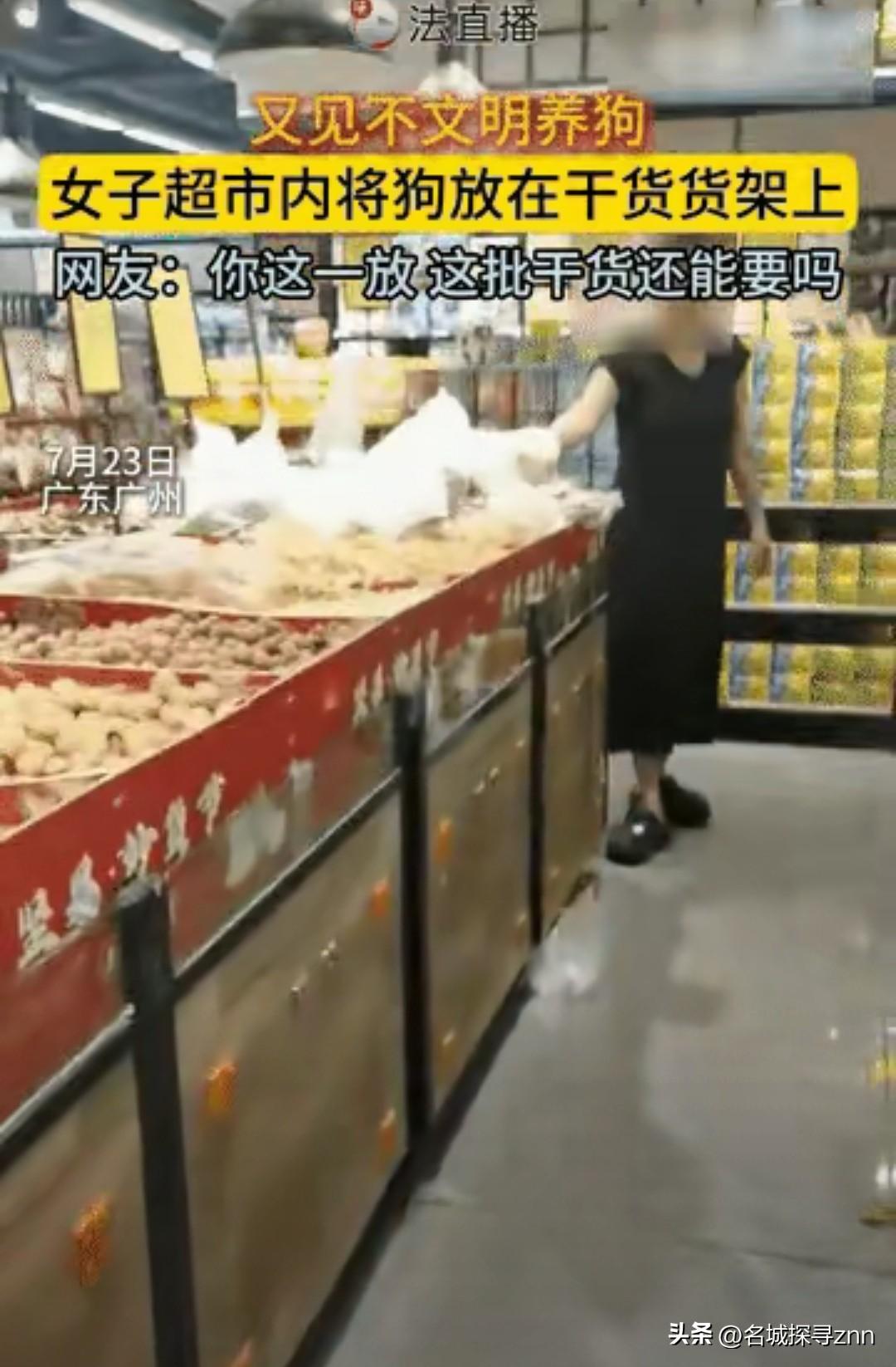 “真是脑子有病！”女子抱着宠物狗去逛超市，在中途抱累了，竟然直接将狗放在干货货架
